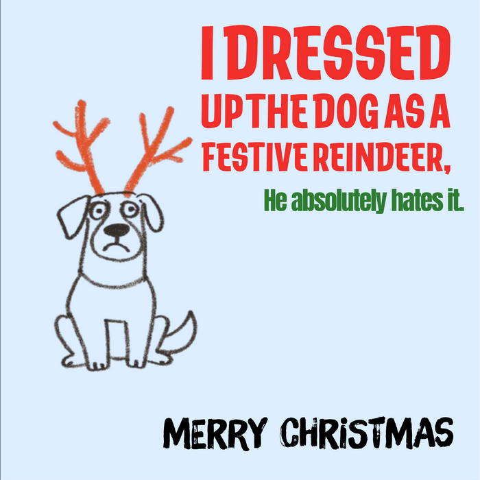 Christmas Dog