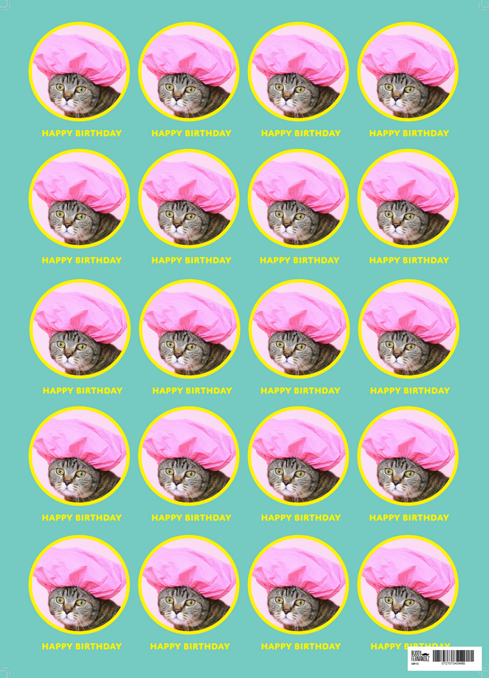 CAT BIRTHDAY GIFT WRAP